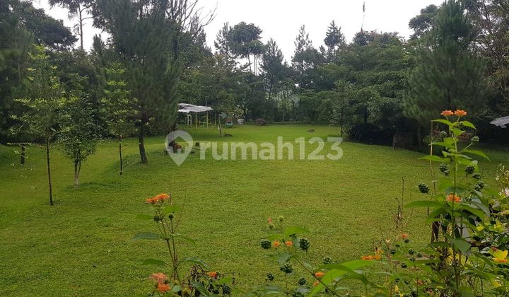 Tourist Spots, Awesome Restaurants and Villas. Tourist Spots, Awesome Restaurants and Villas.