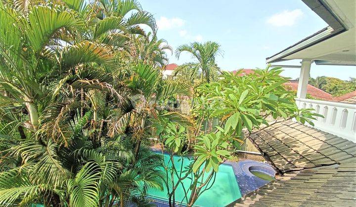 Dijual Rumah Mewah di Kemang Jakarta Selatan Lokasi Kondisi  2