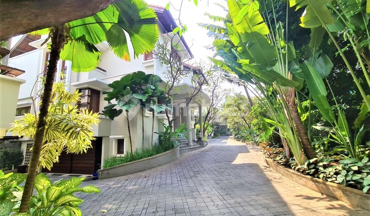 Disewakan Rumah Bernuansa Asri di Cipete Jkt Selatan Disewakan Rumah Bernuansa Asri di Cipete Jkt Selatan