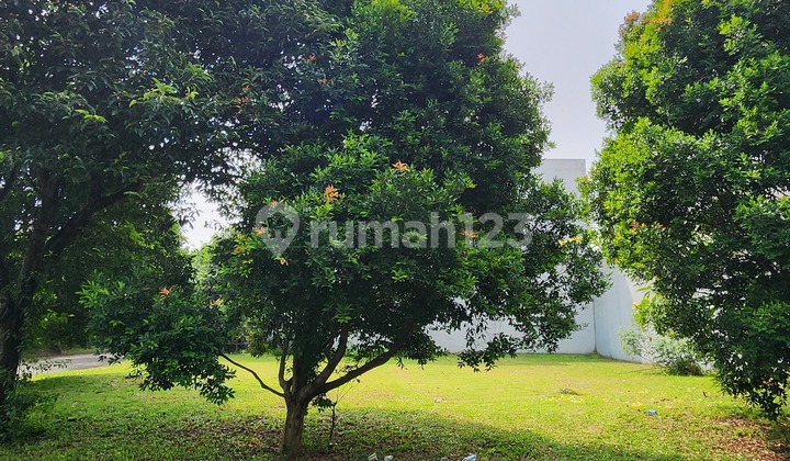Bagusss Banget Ini Kavling Kotak Hoek Di Cluster Rindang Kawasan Green Tunnel Alam Sutera