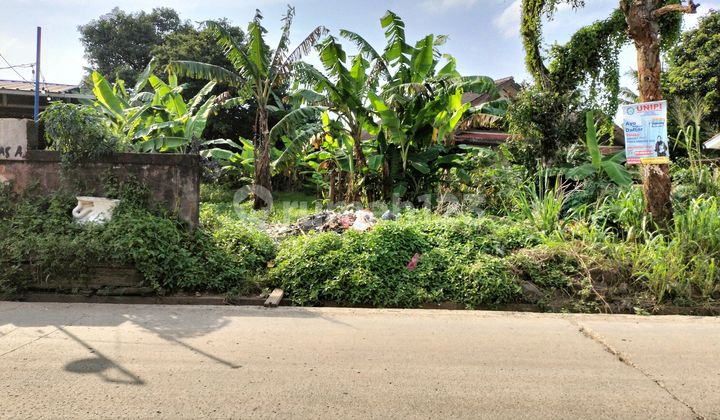 Tanah Jual Cepat Cisauk Pinggir Jalan Raya