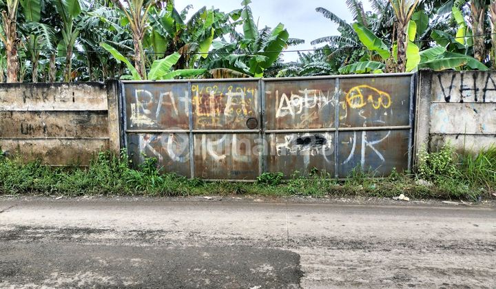 Sell Fast Maloko Cisauk Tangerang Land Sell Fast Maloko Cisauk Tangerang Land
