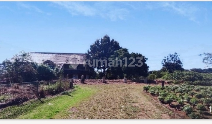 Tanah Jual Cepat Perum Parung Hijau Kemang Kabupaten Bogor