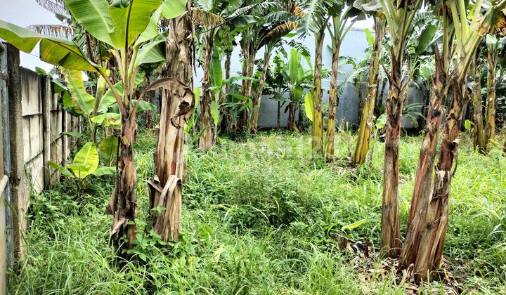 Jual Cepat Tanah Maloko Cisauk Tangerang