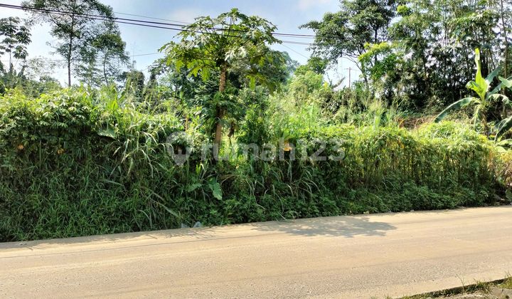 Tanah Jual Cepat Cicangkal Rumpin Bogor