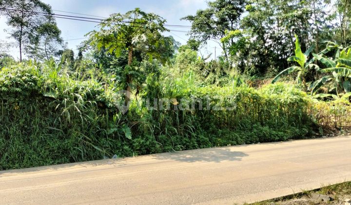 Tanah Jual Cepat Cicangkal Rumpin Bogor Tanah Jual Cepat Cicangkal Rumpin Bogor