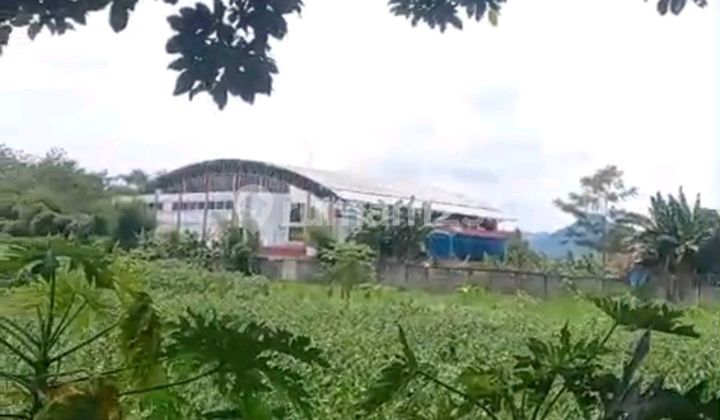 Land for Quick Sale Putat Nutug Ciseeng Bogor Land for Quick Sale Putat Nutug Ciseeng Bogor