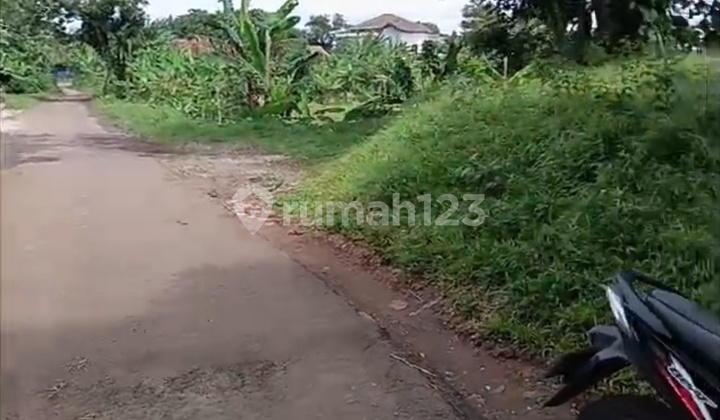 Quick Sale Land Cisauk Serpong Tangerang Banten Quick Sale Land Cisauk Serpong Tangerang Banten