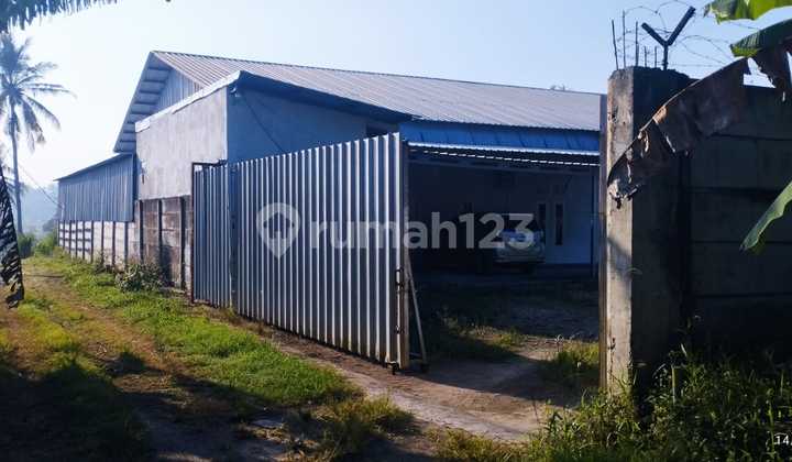 Ready-to-Use Warehouse Strategic Location