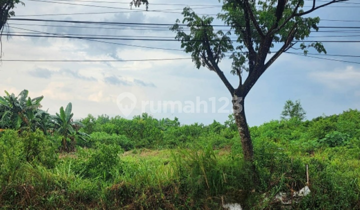 Land Ready for Industry and Housing