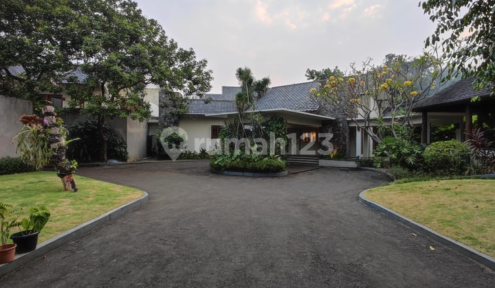 Rumah Bagus Di Cilandak Belakang Citos