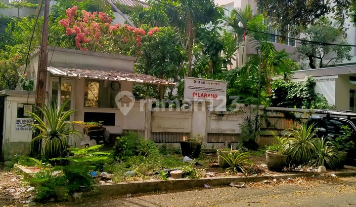 Rumah Tua Murah Simprug Golf Jarang Ada Paling Strategis Paling Nyaman Rumah Tua Murah Simprug Golf Jarang Ada Paling Strategis Paling Nyaman