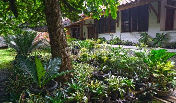 Rumah asri harga miring lt 1029mtr Cipedak Jagakarsa jarang ada Jakarta Selatan  2