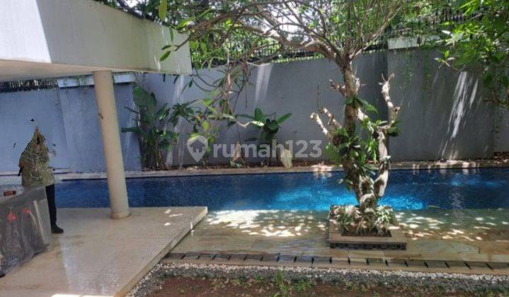 Rumah idaman mewah swimming pool harga miring lt 766mtr Patra kuning Jakarta Selatan  2