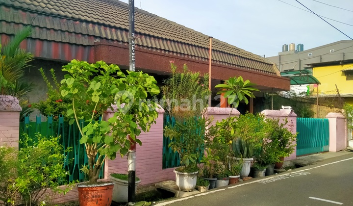 Rumah Paling Murah Cideng LT 372Mtr Cideng SHM Jakarta Pusat Rumah Paling Murah Cideng LT 372Mtr Cideng SHM Jakarta Pusat