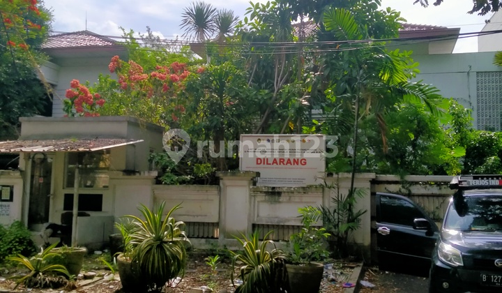 Rumah Tua Murah Simprug Golf Dkt Scb Jarang Ada  2