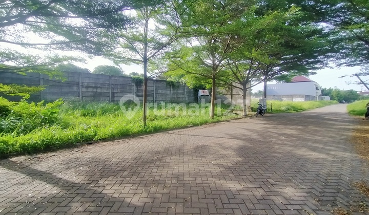 Investasi Kavling Harga Miring 15x24 Hadap Timur Intercon Jarang Ada Investasi Kavling Harga Miring 15x24 Hadap Timur Intercon Jarang Ada