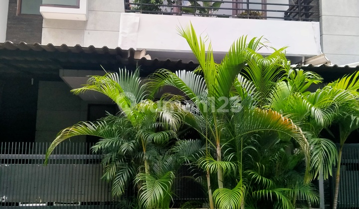 Rumah Asri Murah Taman Meruya Lilir Shm Jakarta Barat 