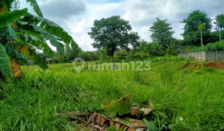 Kavling Intercon Di Bawah Njop Lt 600mtr Jarang Ada Langka Jakarta Barat 