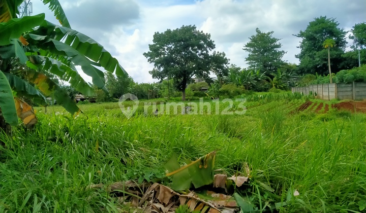 Kavling Siap Bangun Lt 600mtr Harga Di Bawah Njop Murah Langka Intercon Jakarta Barat Kavling Siap Bangun Lt 600mtr Harga Di Bawah Njop Murah Langka Intercon Jakarta Barat