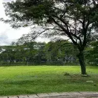 Murah Kavling Ebony Golf 630m2 Hoek Pik Pantai Indah Kapuk  2