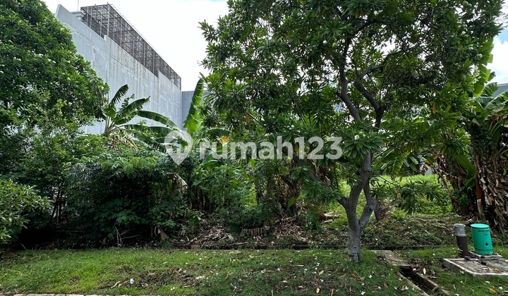 Kavling Layar Permai Boulevard 1.000M2 Pik Pantai Indah Kapuk Kavling Layar Permai Boulevard 1.000M2 Pik Pantai Indah Kapuk