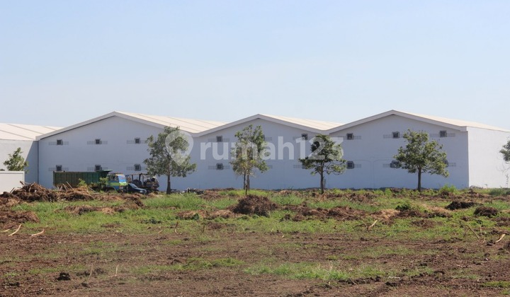 DIJUAL KAVLING LAKSANA BUSINESS PARK, TANGERANG DIJUAL KAVLING LAKSANA BUSINESS PARK, TANGERANG