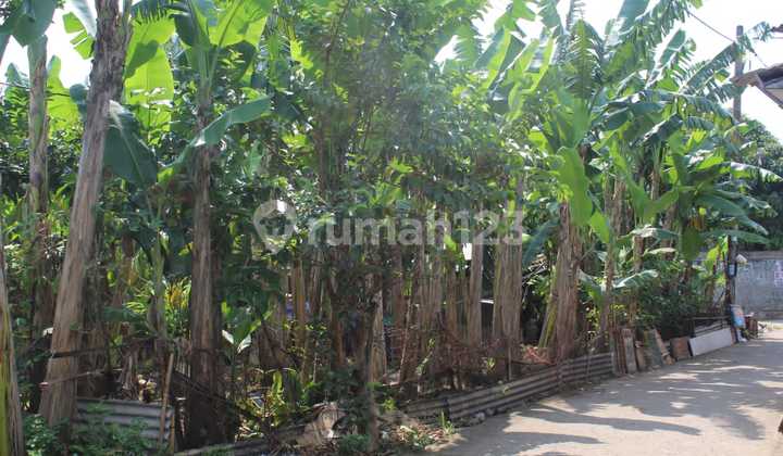 Dijual.tanah Dipondok.petir.permeter 4 Juta Dijual.tanah Dipondok.petir.permeter 4 Juta