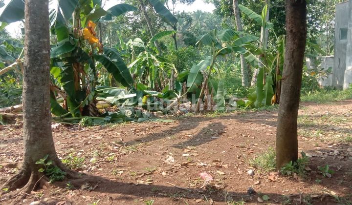 Dijual Tanah Digunung Sindur Bogor