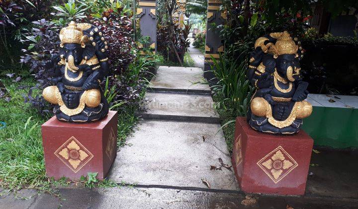 Sewa Murah Villa di Tegallalang Ubud Bali 1