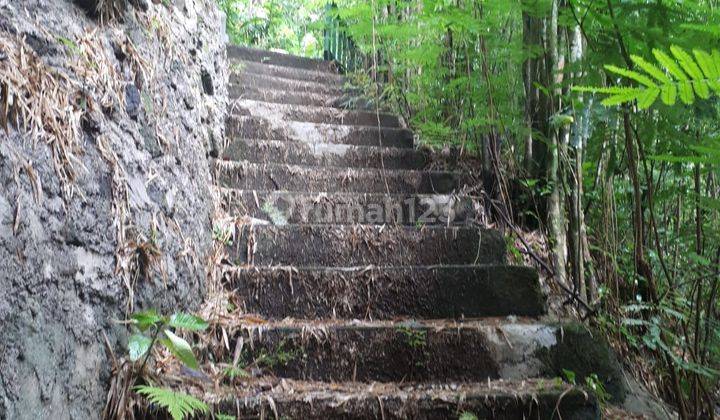 Sewa Murah Villa di Tegallalang Ubud Bali 2