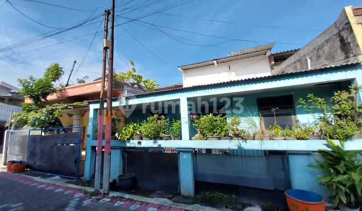 Dijual Rumah Kos  Semarang  2