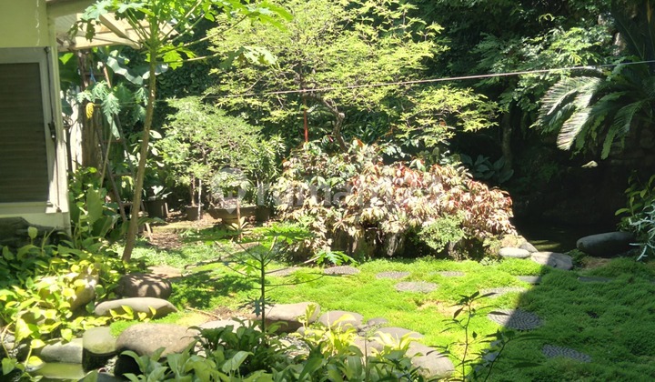 Rumah Dijual di Senayan Jakarta Selatan 