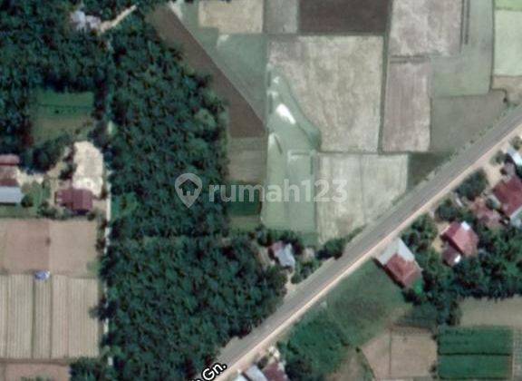 Kebun Sawit Sawah dan Kebun Sayur Paling Menguntungkan di Siantar 2