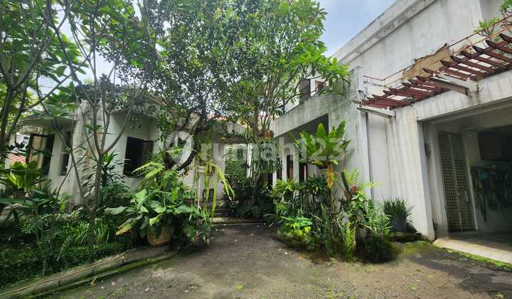 Attractive priced house in Pejaten, South Jakarta Attractive priced house in Pejaten, South Jakarta