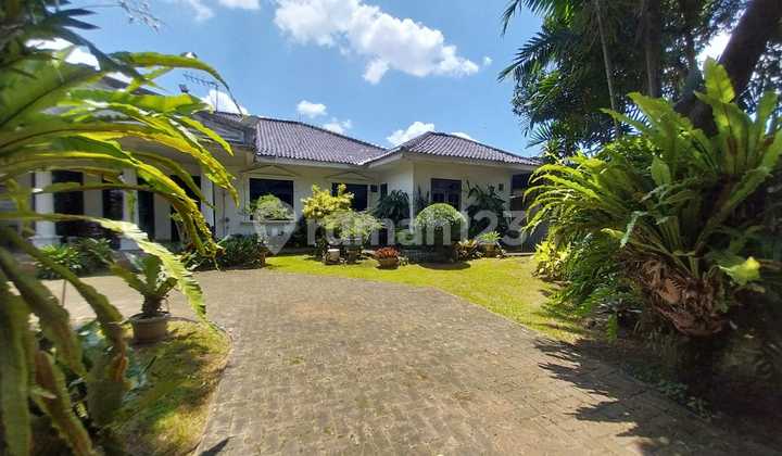 Serene House with Spacious Yard at NJOP Price in West Pejaten