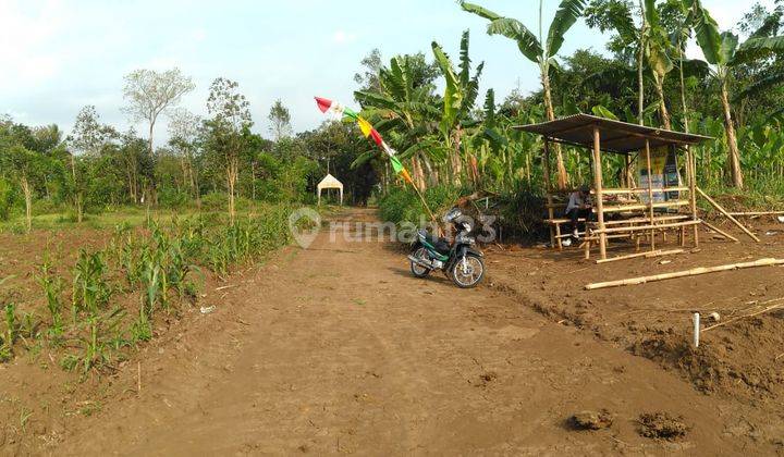 Obral Tanah Kavling Murah Jl Raya Kedungrejo Pakis Dekat Exit Tol Sawojajar 1