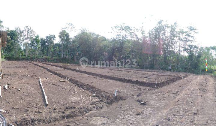 Obral Tanah Kavling Murah Jl Raya Kedungrejo Pakis Dekat Exit Tol Sawojajar 8