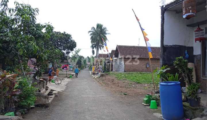 Tanah Kavling SHM Murah Dijual di Dsn Jambon Pakiskembar Pakis Malang 7