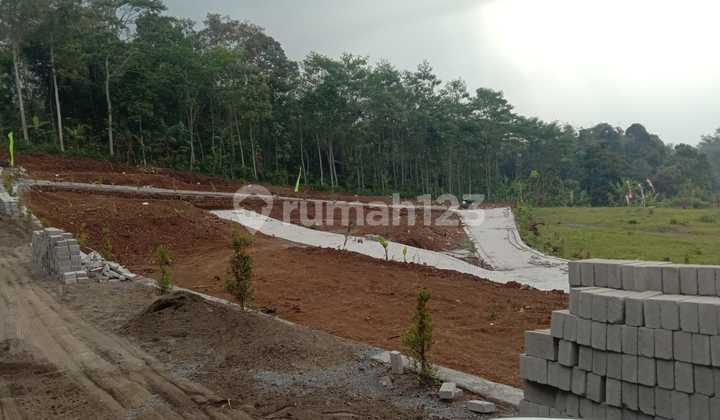 Tanah Kavling Jln Raya Nongkojajar Purwodadi Arah Bromo 4