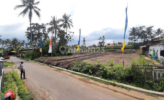 Tanah Kavling 200 Meter Dr Jln Raya Sumber Pasir Pakis Malang 3