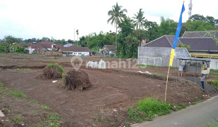 Tanah Kavling 200 Meter Dr Jln Raya Sumber Pasir Pakis Malang 17