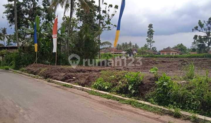 Tanah Kavling 200 Meter Dr Jln Raya Sumber Pasir Pakis Malang 19