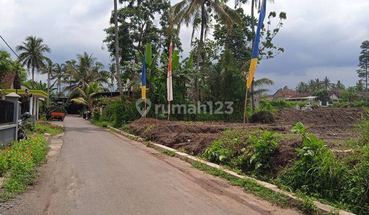 Tanah Kavling 200 Meter Dr Jln Raya Sumber Pasir Pakis Malang 23
