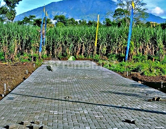 Tanah Kavling Randuagung Singosari Malang Dekat Exit Tol 4