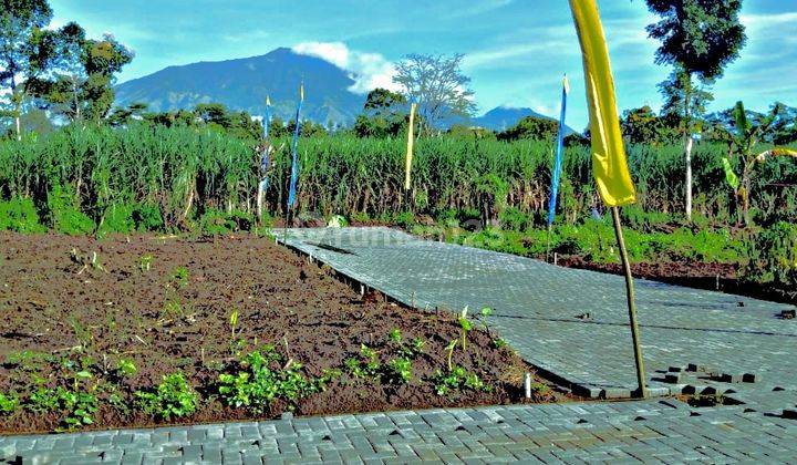 Tanah Kavling Randuagung Singosari Malang Dekat Exit Tol 5