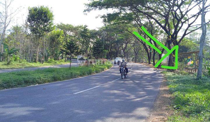 Tanah Kavling 0 Jalibar Kepanjen Malang 15