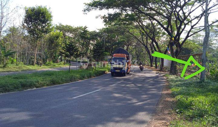 Tanah Kavling 0 Jalibar Kepanjen Malang 17