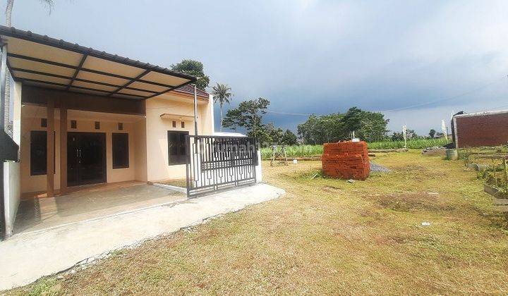 Rumah Siap Huni Tambakasri Malang Dijual Murah B.u Dkt Rs Ben Mari 1