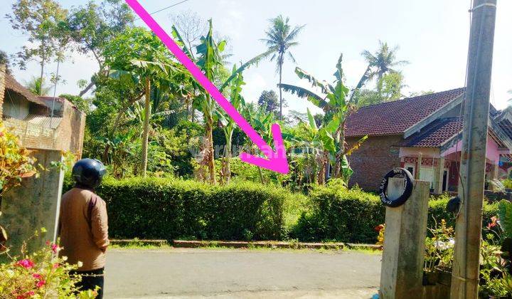 Tanah di Ngebruk Sumberpucung Malang Dijual Super Murah Cepat B.u 2